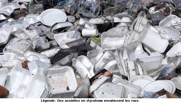 Application de l’arrêté du 10 juillet 2013 contre le styrofoam : le Mouvement national citoyen pour le climat interpelle l’État haïtien